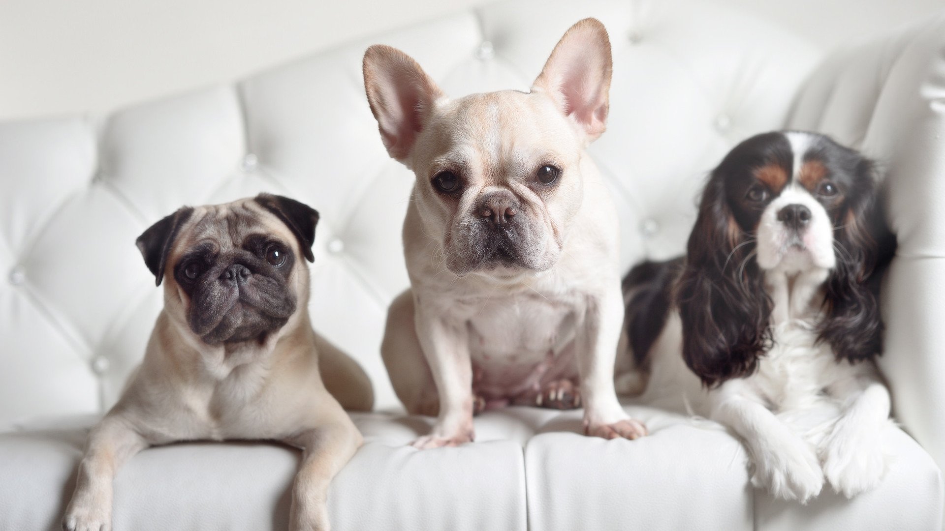 足球双响炮,穆勒爆发助德国凯旋,墨西哥战术压制苏格兰取胜