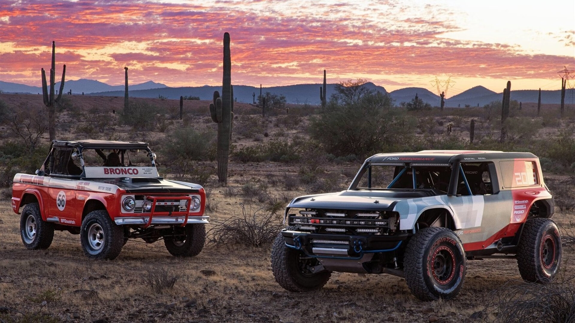 切特·霍姆格伦,纤瘦身躯撑起的巨人统治力,猛龙群星黯然失色