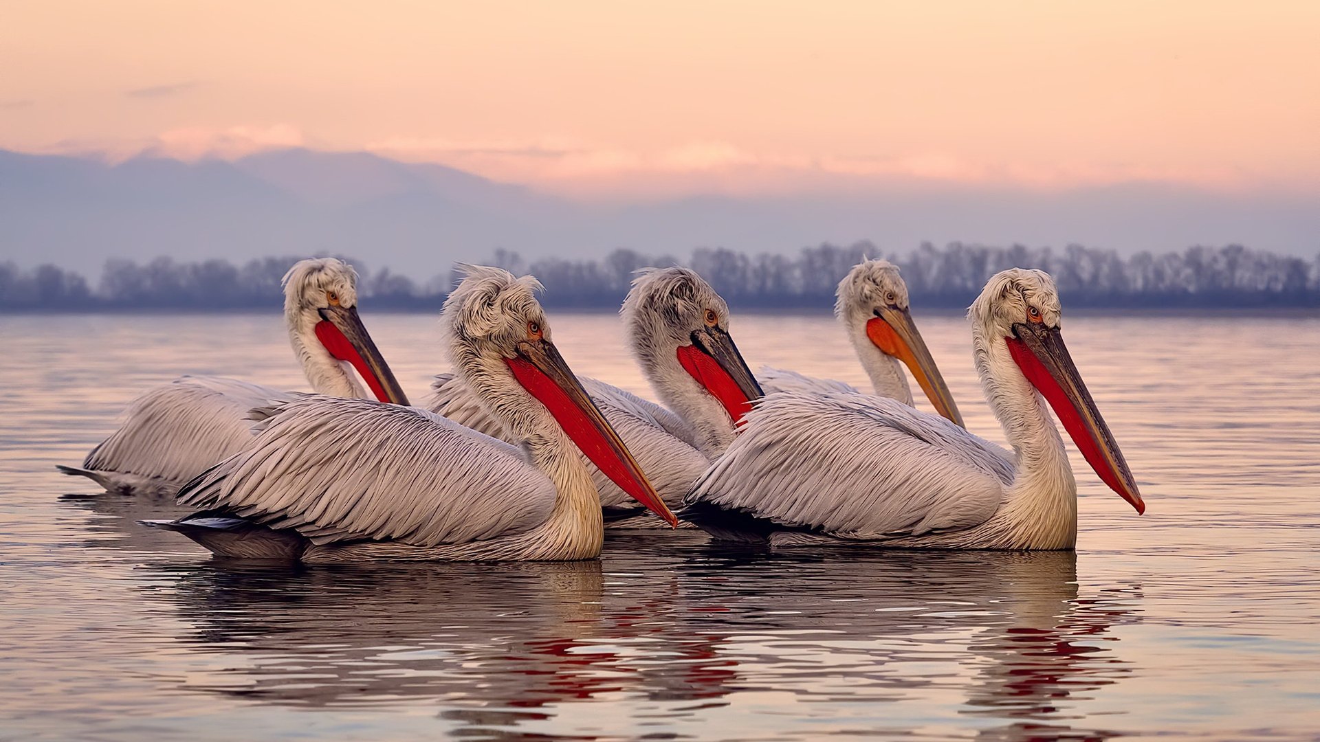 -阿圭罗绝杀定乾坤！加拿大硬仗气走瑞典，曼城传奇变身枫叶英雄