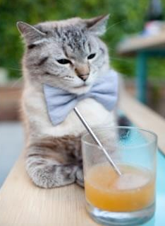 双线战场,F1新季轰鸣启程,上海男篮钢锯之争终胜雷霆