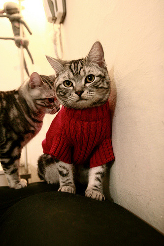 开云体育官网-逆转基因与冠军之心，从智利翻盘瑞士到斯通斯在英超争冠的终极接管