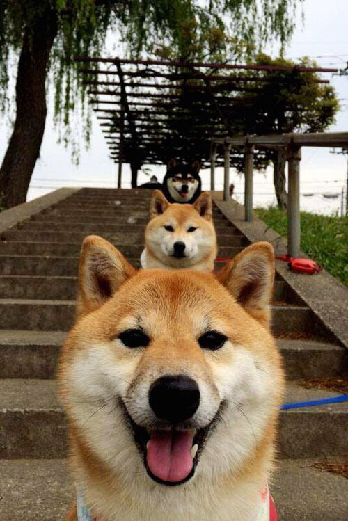 奥亚尔萨瓦尔独中三元导演卡塔尔奇迹,黄潜翻车震惊欧洲足坛