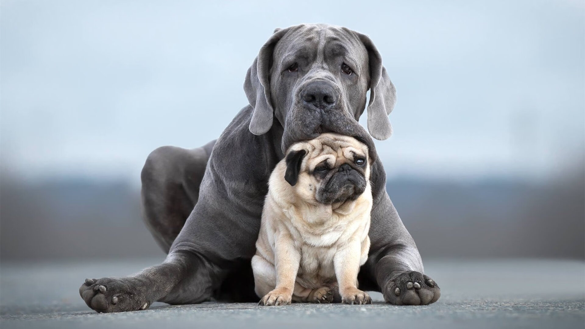 绝境三分!库里压哨定乾坤,浙江掀翻十一冠王广东