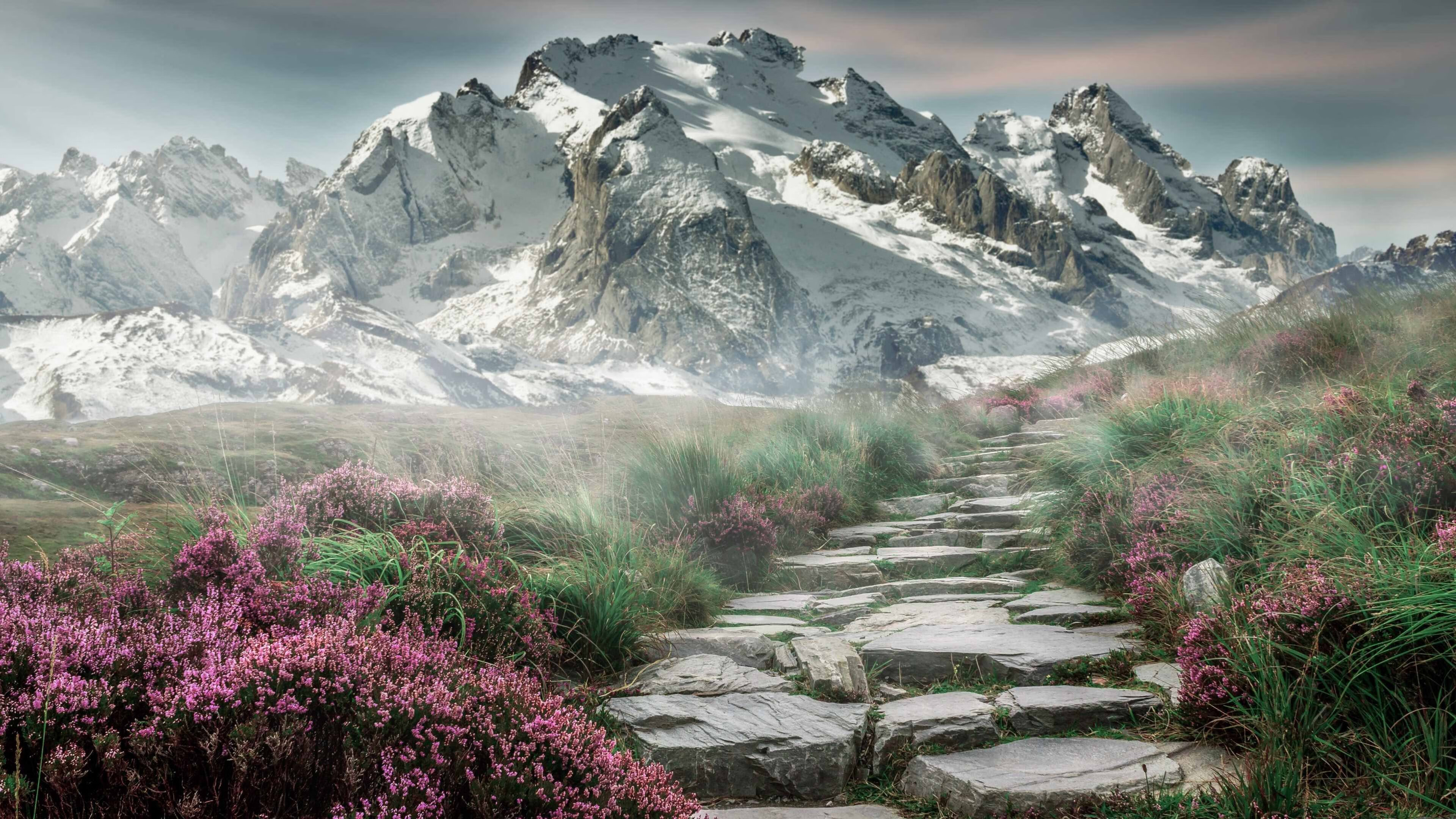 佩德里爆发闪耀罗马,西班牙强势取胜书写新篇章