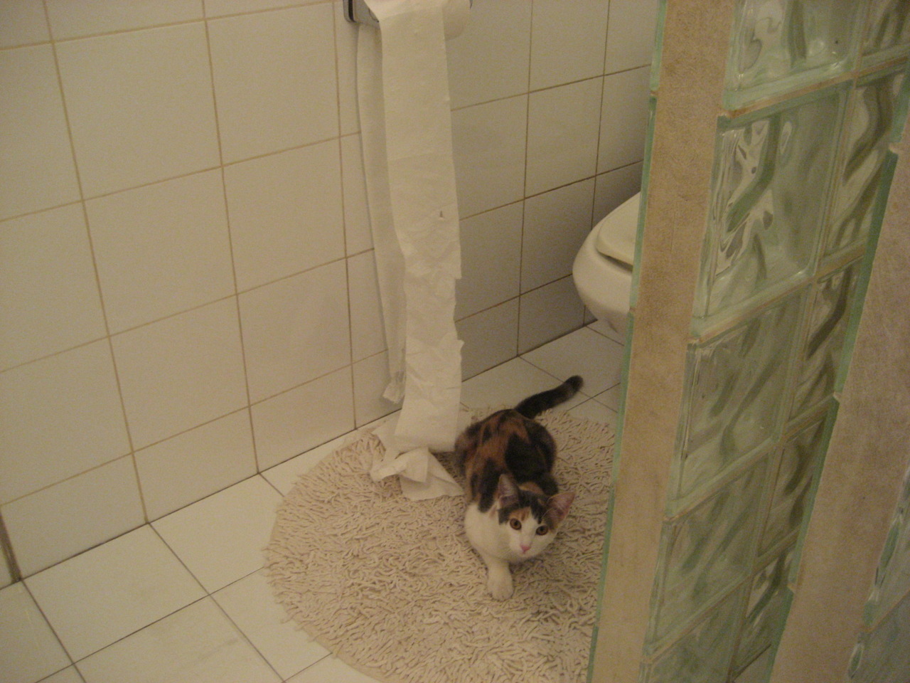 勇士绝境突围,NBA季后赛焦点战力克独行侠的关键史诗