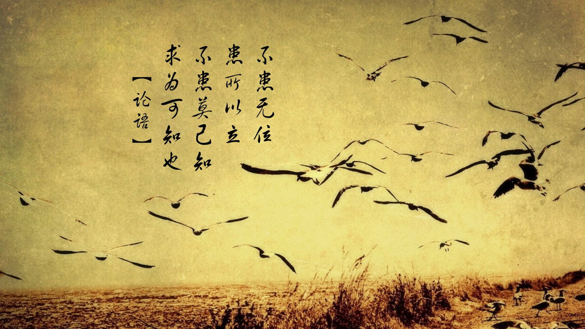 节奏大师德布劳内，2026世界杯B组关键战，荷兰绝杀加纳演绎王者归来