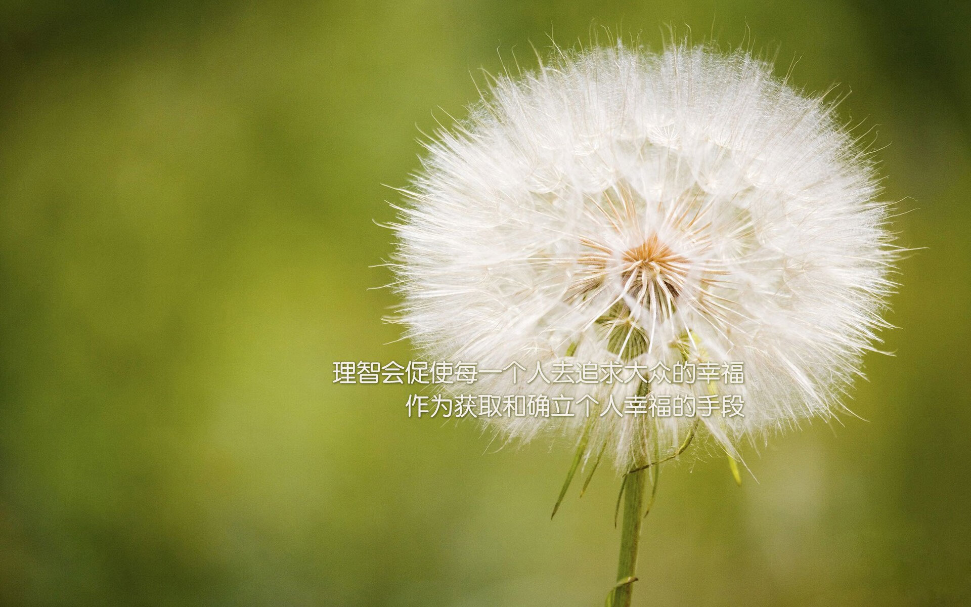 沙漠中的绿洲奇迹，2026世界杯A组，越南碾压卡塔尔，齐耶赫化身中场魔术师