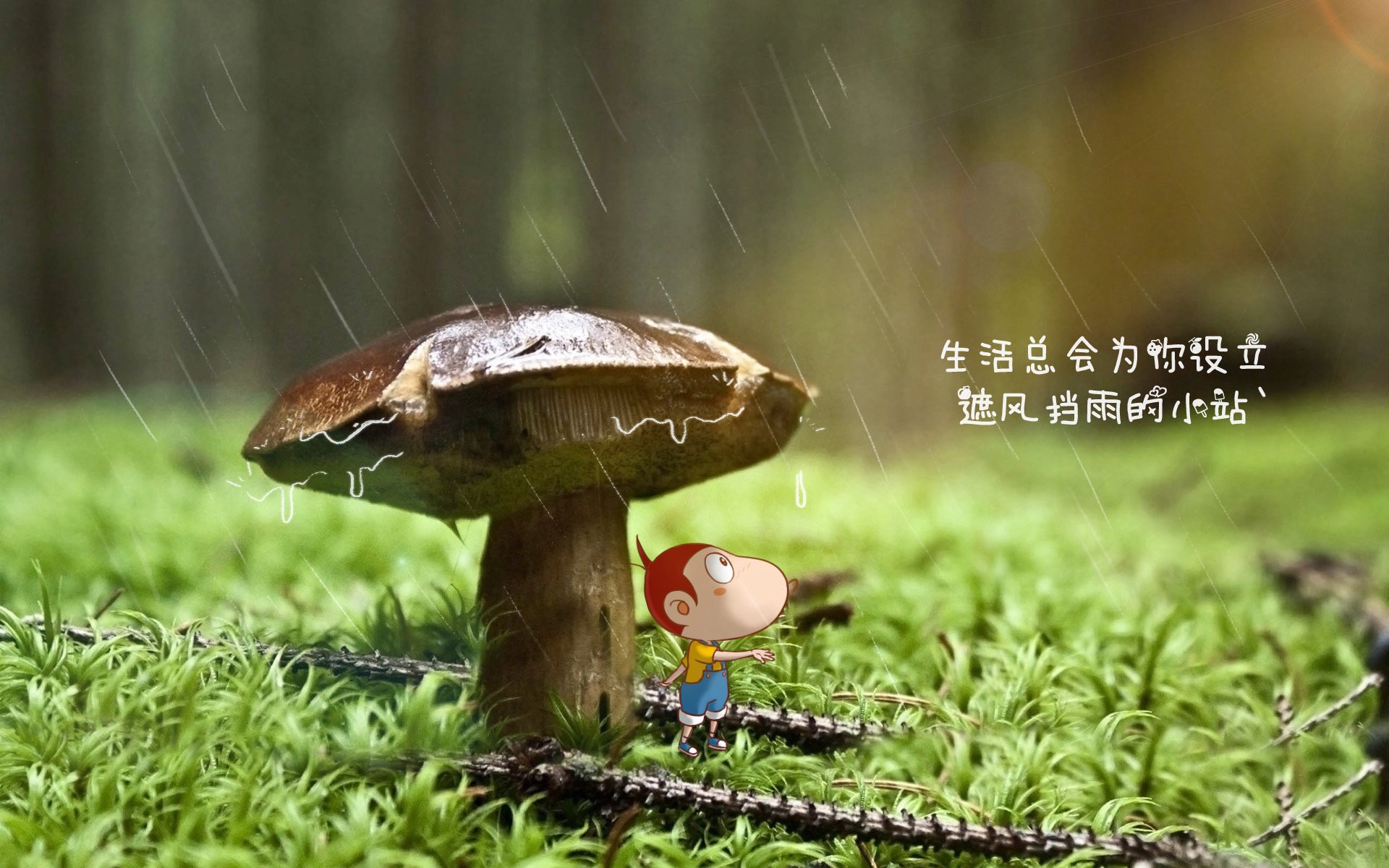 冷门之夜,2026世界杯E组,阿联酋力克法国,布罗佐维奇惊艳全场