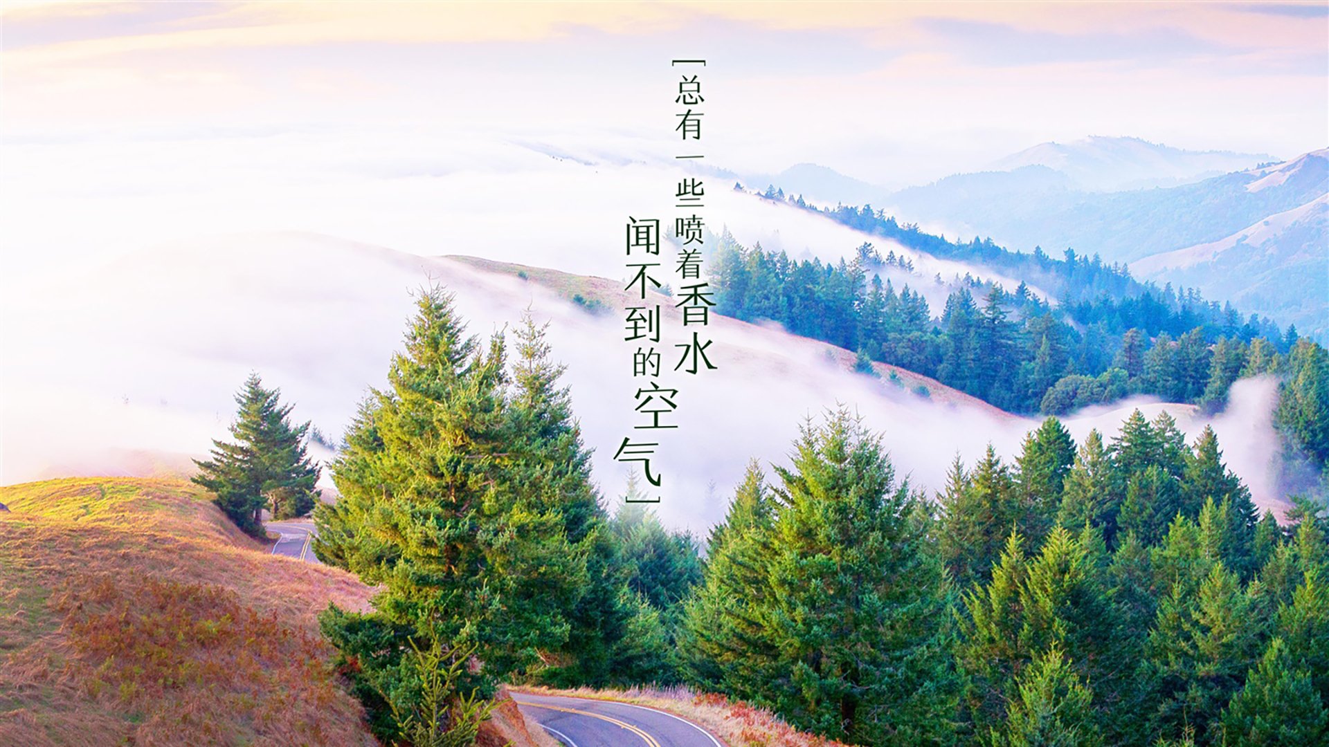 南美雄鹰展翅高飞,秘鲁绝杀西班牙,维尼修斯神级表现主导B组焦点战